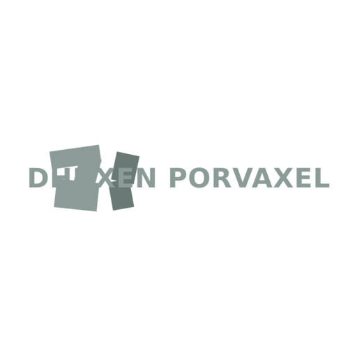 Логотип Dhuxen Porvaxel